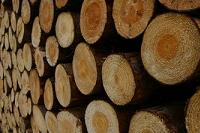 L'avenir du chauffage au bois
